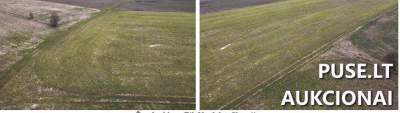 Žemės ūkio paskirties sklypas Klaipėdos r. sav., Kantvainų k. su pradine kaina 2340 EUR