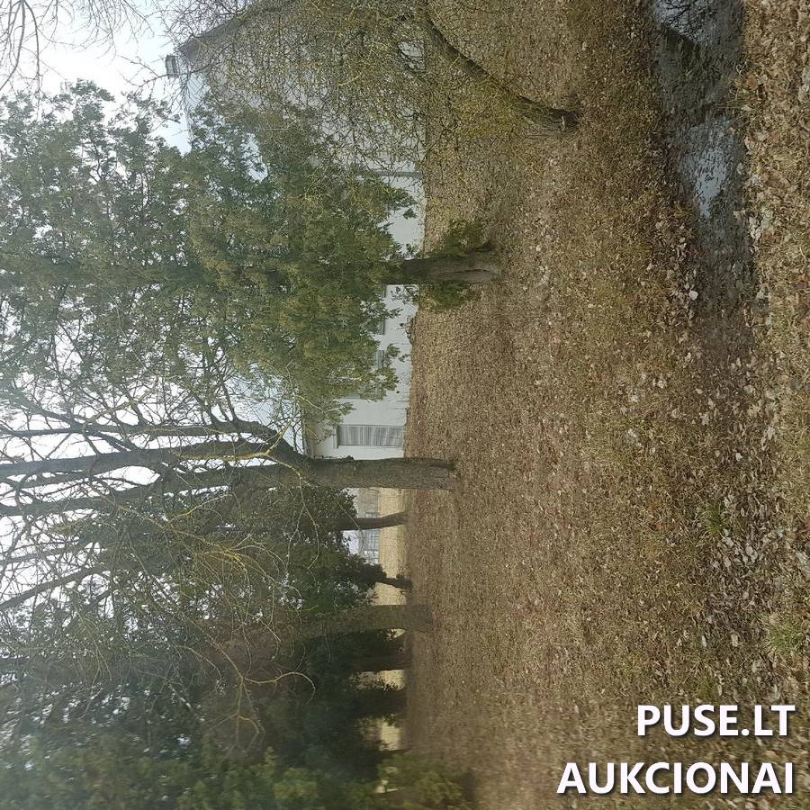 Parduotuvė Pastatai Parko g. 20, 58301 Alksnėnai, Gudžiūnų sen., Kėdainių r. sav. 4