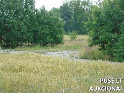 Oro uosto aikštelė Šiaulių r. sav. Slydžių k. 1504 kv.m. pradinė kaina 29766 EUR