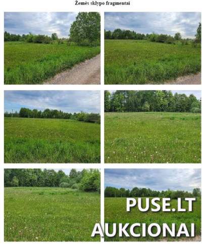 Žemės ūkio paskirties žemės sklypas Anykščių rajone, Janydžių k. 0.50 ha už 1760 EUR