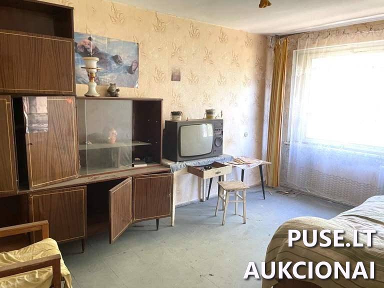 Butas Patalpos/Butai Agarinio g. 7, 30154 Didžiasalis, Didžiasalio sen., Ignalinos r. sav. 11