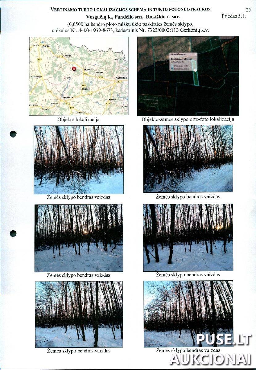 Žemės sklypas Sklypai Vosgučiai, Pandėlio sen., Rokiškio r. sav. 2