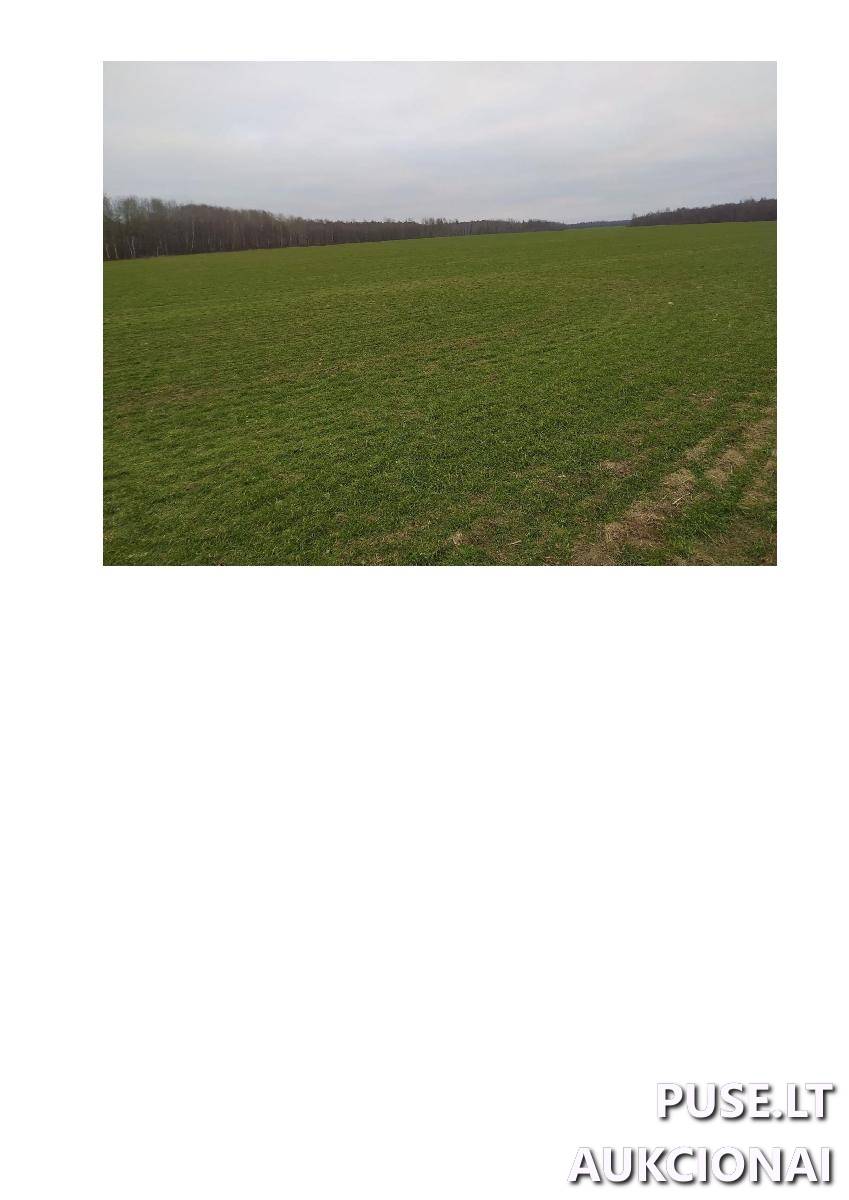Žemės sklypas Sklypai Žoliškiai, Krinčino sen., Pasvalio r. sav. 1