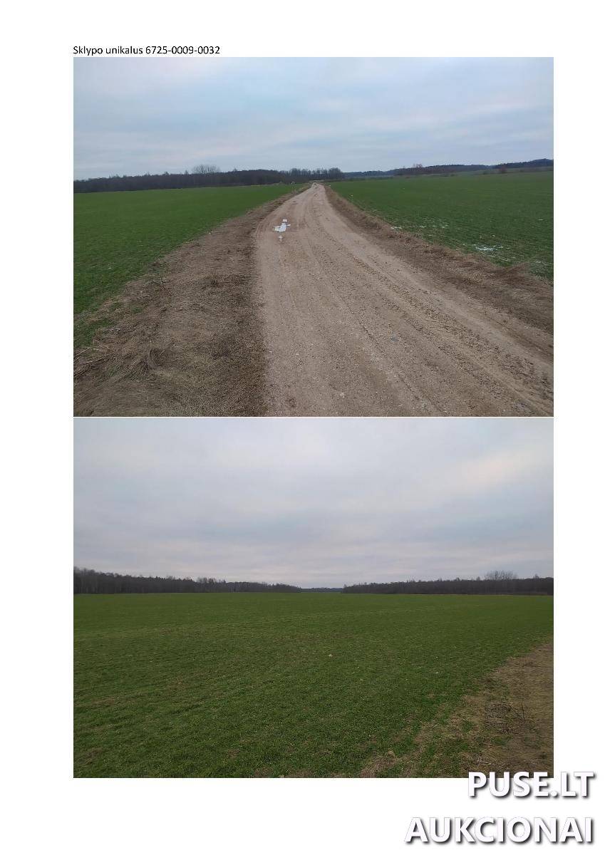 Žemės sklypas Sklypai Žoliškiai, Krinčino sen., Pasvalio r. sav. 2