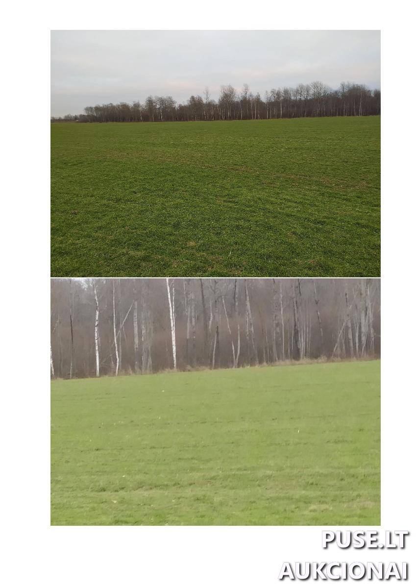 Žemės sklypas Sklypai Žoliškiai, Krinčino sen., Pasvalio r. sav. 4