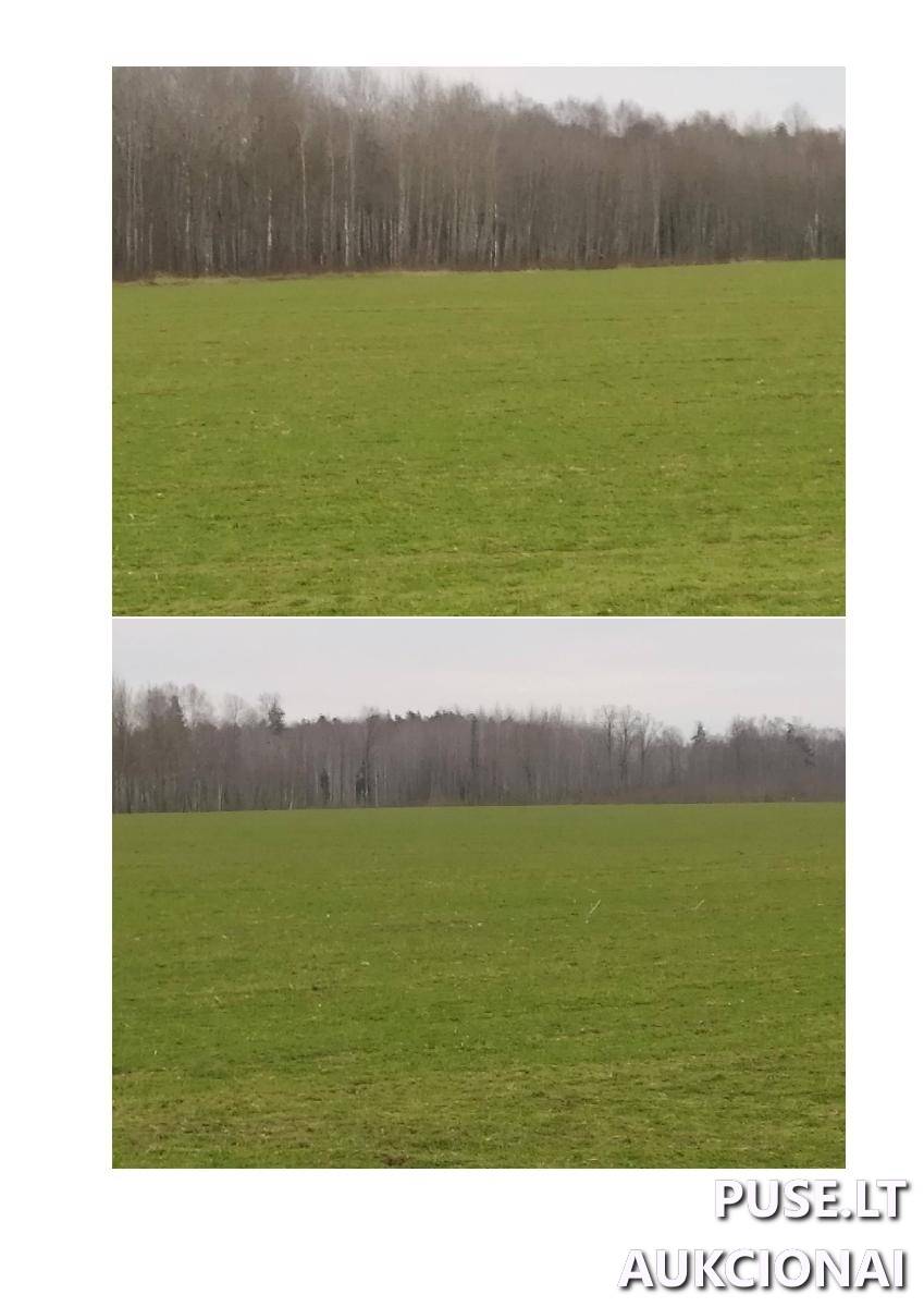 Žemės sklypas Sklypai Žoliškiai, Krinčino sen., Pasvalio r. sav. 5