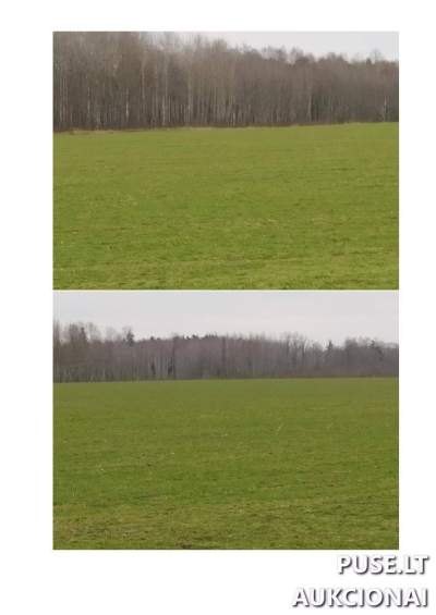 Parduodamas 45.38 ha žemės ūkio paskirties sklypas Pasvalio rajone, Žoliškių kaime, pradinė kaina 334400 EUR