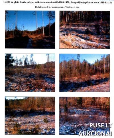 Miškų ūkio paskirties žemės sklypas Varėnos rajone, Dubaklonio I km, 1800 EUR