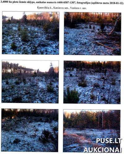 Miškų ūkio paskirties žemės sklypas Varėnos rajone, Karaviškių kaime, 3.40 ha, pradinė kaina 3900 EUR