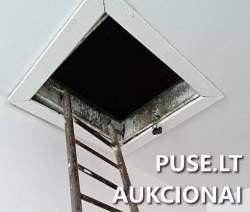 Patalpos/Butai - Neįrengta pastogė