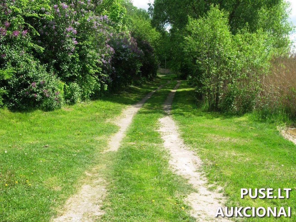 Žemės sklypas Sklypai Vytauto g. 12A, 56412 Žasliai, Žaslių sen., Kaišiadorių r. sav. 1