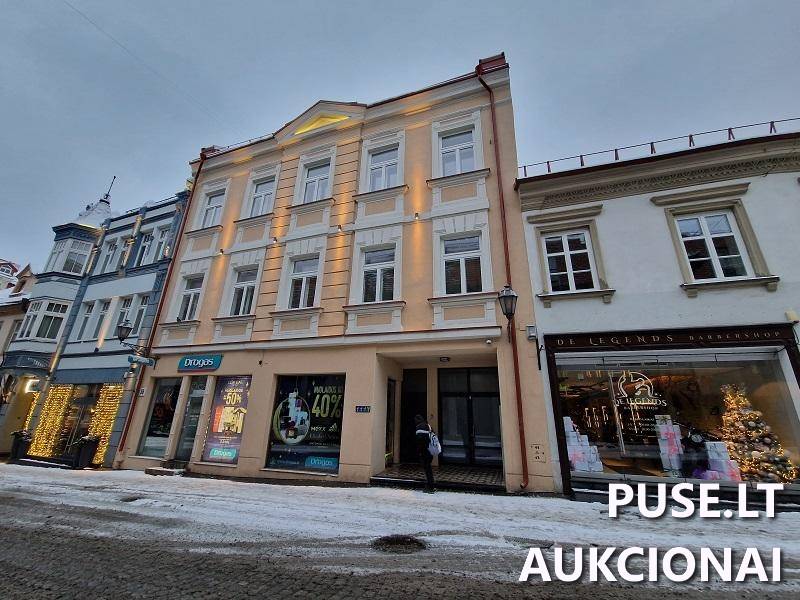 Neįrengta pastogė Patalpos/Butai Pilies g. 36, 01123 Vilnius, Vilniaus m. sav. 2