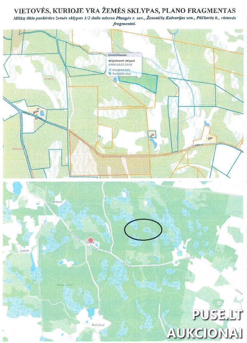 Turtinės teisės į 1/2 dalį žemės sklypo (pagrindas: 2004-04-09 Paveldėjimo teisės pagal įstatymą liudijimas, not. reg. Nr. AR-2360, po skol. tėvo Kazimiero Plataunos mirties paveldimas turtas). Sklypai 2