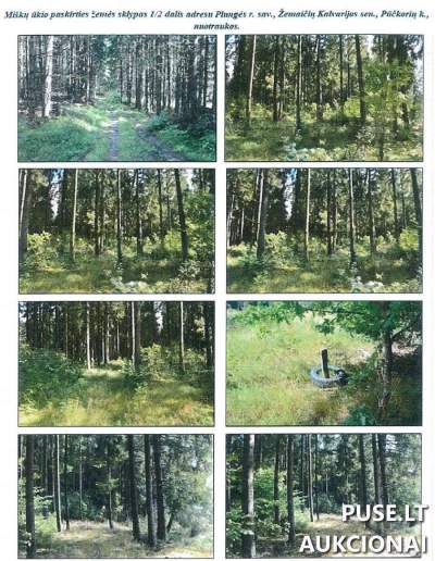 1/2 dalis 2.0000 ha Miškų ūkio žemės sklypo dalies aukcionas Klaipėdos regione pradine kaina 6624 EUR