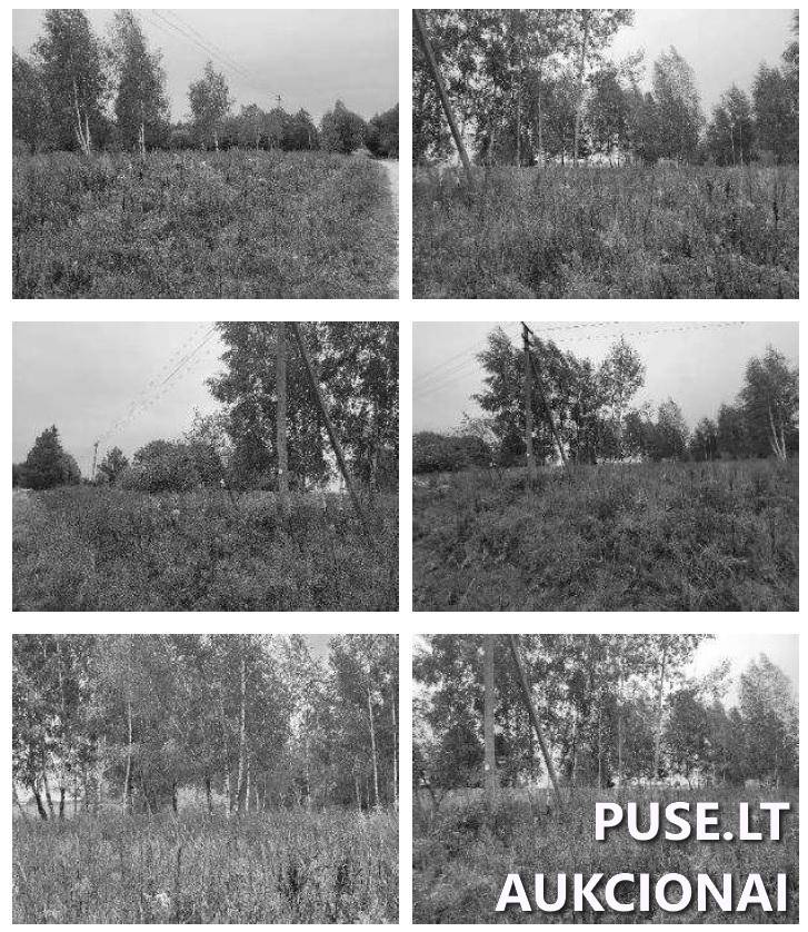 Žemės sklypas Sklypai Miškiškių g. 1A, 33156 Miškiškiai I, Luokesos sen., Molėtų r. sav. 1