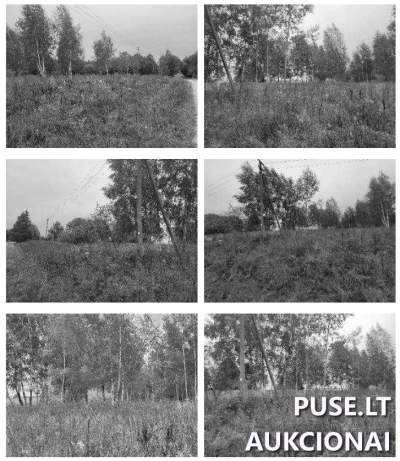 Parduodamas žemės sklypas Molėtų rajone, Miškiškių I kaime 9800 EUR