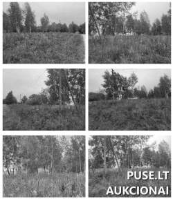 Sklypai - Žemės sklypas