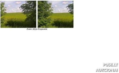 Žemės sklypas Švenčionių r. Stoniūnų k. - 1/15 dalis - Pradinė kaina 450 EUR