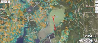 Žemės sklypas miškas su ežero pakrante Švenčionių r., Girinių k. - 9600 EUR pradinė kaina, antstolių varžytynės