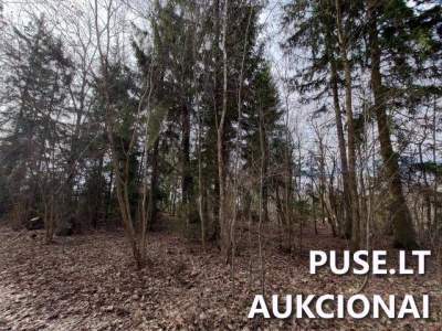 Žemės sklypo dalies (3/8) pardavimas Kupiškio r. sav. aukcione nuo 4680 EUR