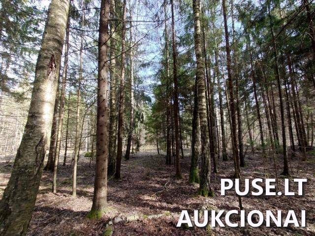 Žemės sklypas Sklypai Dvaramiškis, Kupiškio sen., Kupiškio r. sav. 3