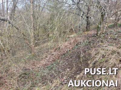 Žemės sklypas Kauno r. sav. Guogų k. Ūkininkų kel. su 3/16 dalimi už 600 EUR