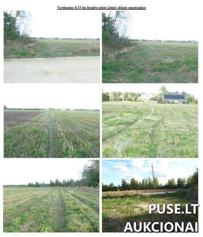 Žemės sklypas Pakruojo rajone, Jovarų kaime, 0.55 ha, pramonės ir sandėliavimo paskirties, pradinė kaina 2318 EUR