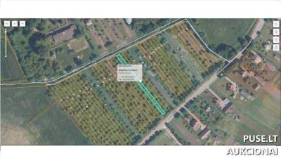 Parduodama 1/2 dalis žemės ūkio paskirties sklypo Radviliškio r. 136 EUR pradinė kaina