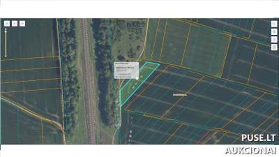 1/2 dalis žemės ūkio sklypo Radviliškio r. sav. Pakiršinio k. 306 EUR pradinė kaina