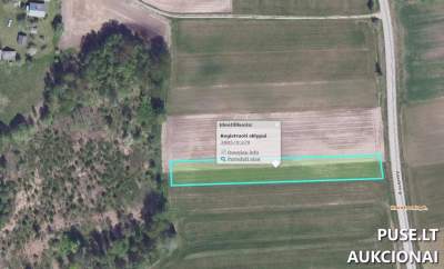 Parduodamas 0.25 ha žemės ūkio paskirties sklypas Varėnos r. sav., Kareivonių k. pradinė kaina 578 EUR