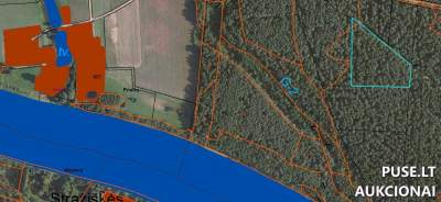 Parduodamas miško sklypas Birštono savivaldybėje, Nemajūnų kaime, pradinė kaina 2160 EUR