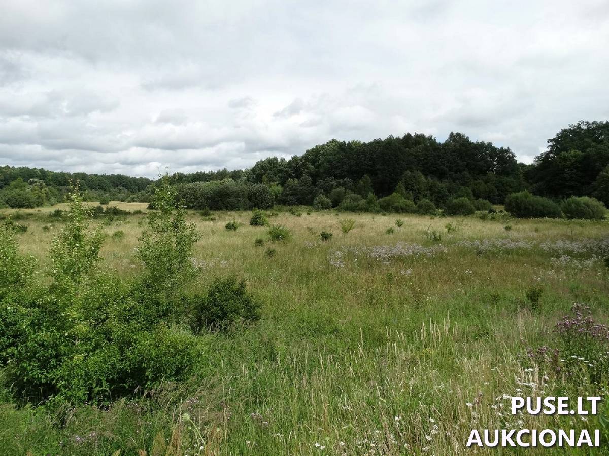 Žemės sklypas Sklypai Mikužių g., Mikužiai, Veiviržėnų sen., Klaipėdos r. sav. 3