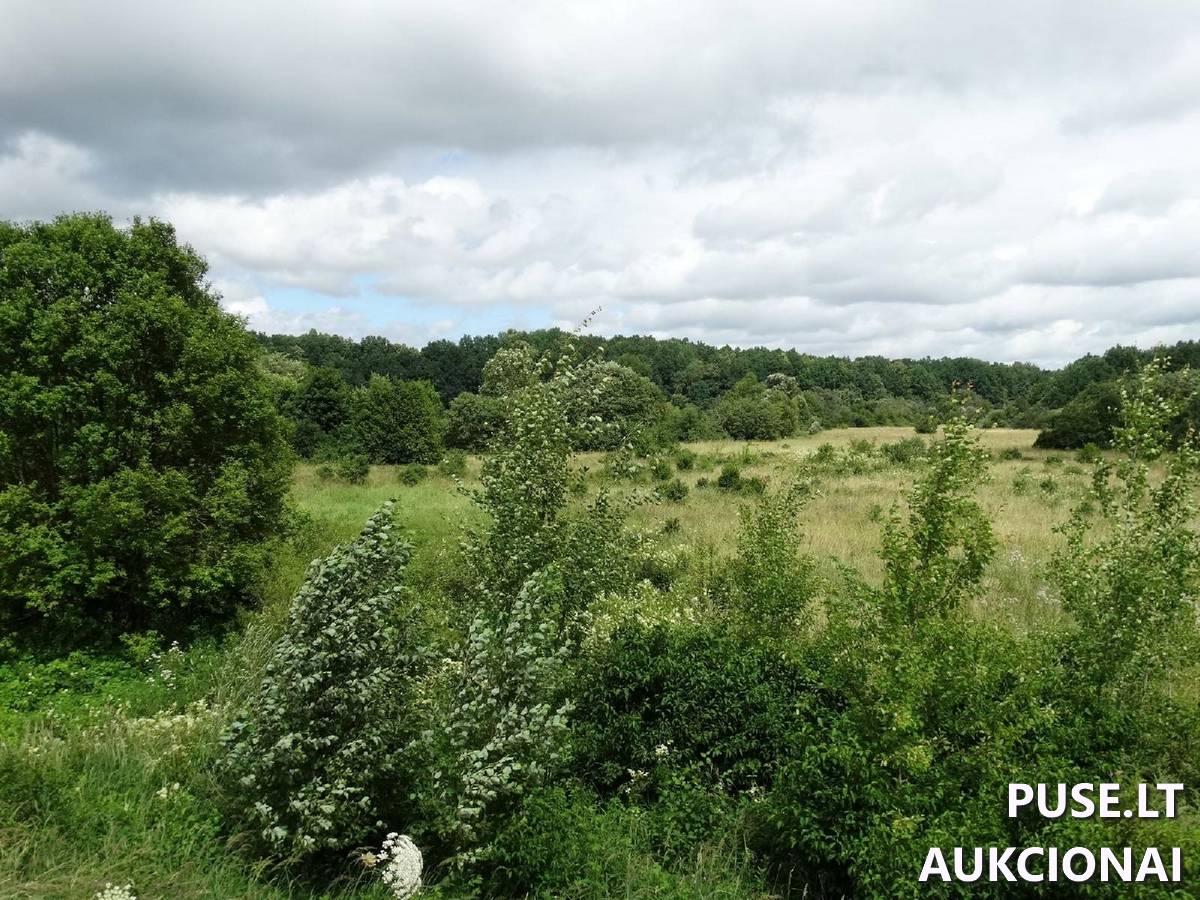 Žemės sklypas Sklypai Mikužių g., Mikužiai, Veiviržėnų sen., Klaipėdos r. sav. 4