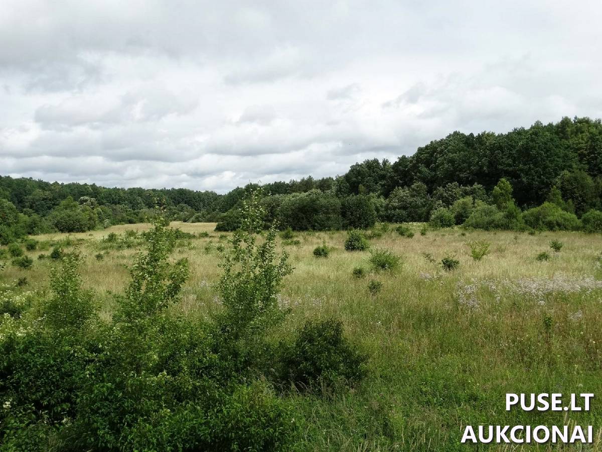 Žemės sklypas Sklypai Mikužių g., Mikužiai, Veiviržėnų sen., Klaipėdos r. sav. 5