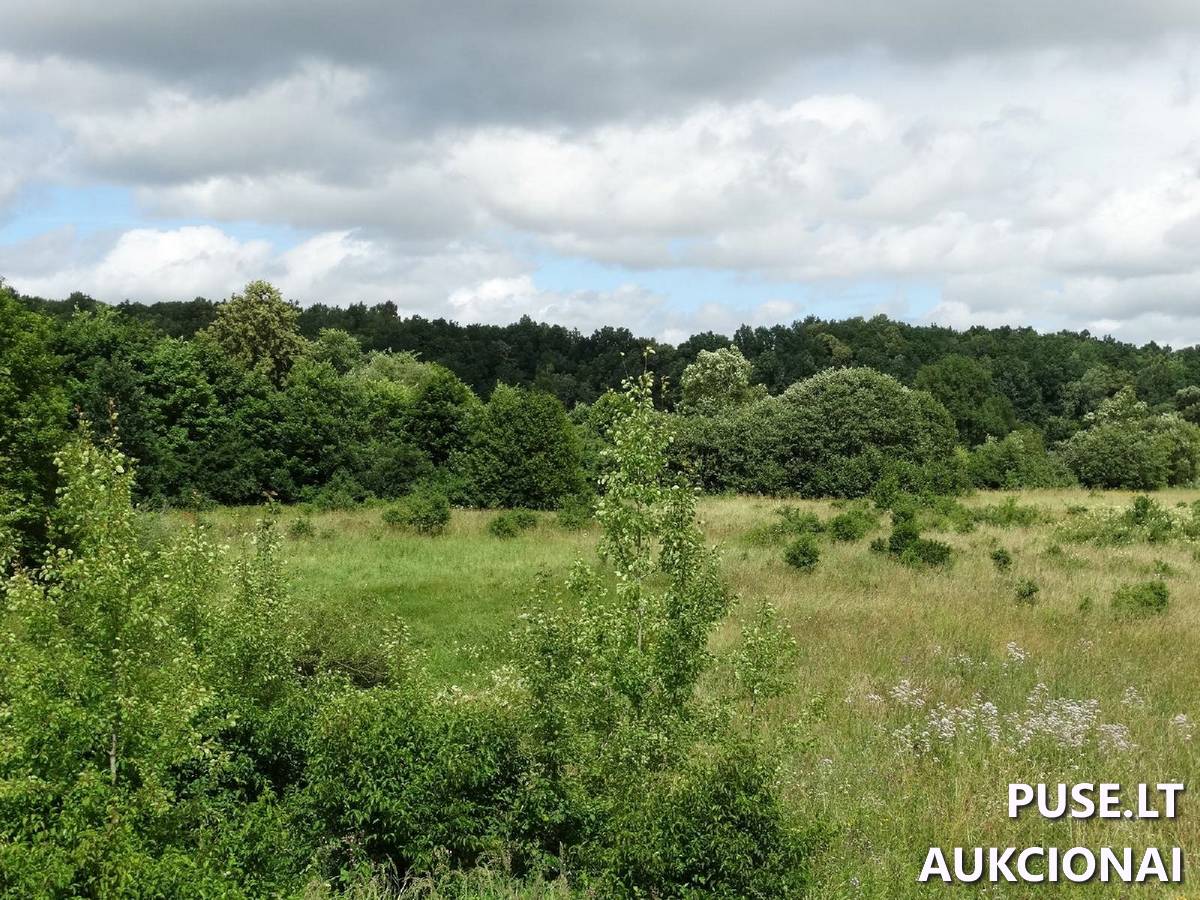 Žemės sklypas Sklypai Mikužių g., Mikužiai, Veiviržėnų sen., Klaipėdos r. sav. 6