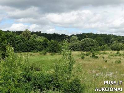 Parduodamas 2 hektarų žemės ūkio sklypas Klaipėdos r. sav., Mikučių k., pradinė kaina 4400 EUR