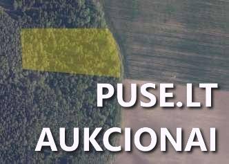 Žemės sklypas Sklypai Pumpurai, Šiluvos sen., Raseinių r. sav. 3