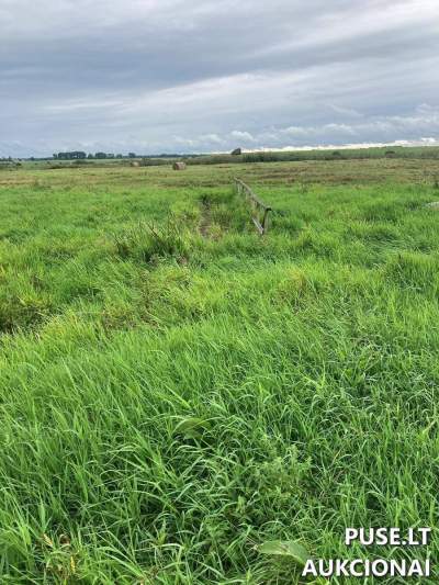 Tiltas Nr.20 parduodamas viešame aukcione už pradinę 121 EUR kainą