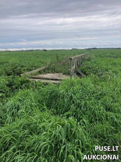 Tiltas Nr.19 pardavimas viešame aukcione, pradinė kaina 1573 EUR