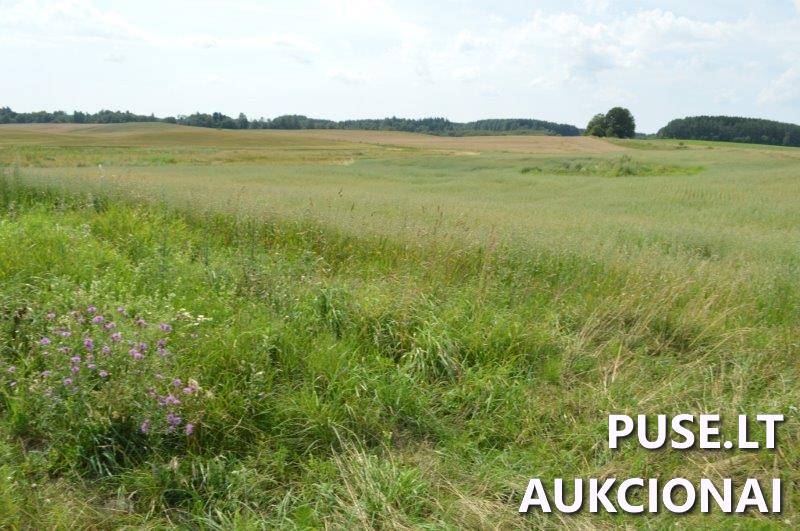 Žemės sklypas Sklypai Gilaičiai, Platelių sen., Plungės r. sav. 2