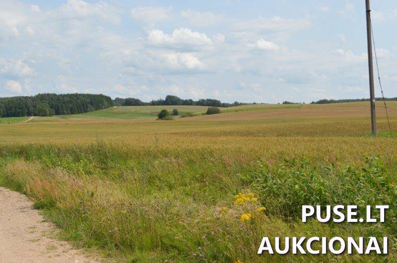 Žemės sklypas Sklypai Gilaičiai, Platelių sen., Plungės r. sav. 3