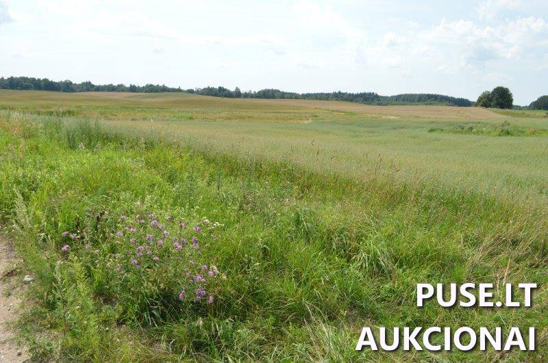 Žemės sklypas Sklypai Gilaičiai, Platelių sen., Plungės r. sav. 5