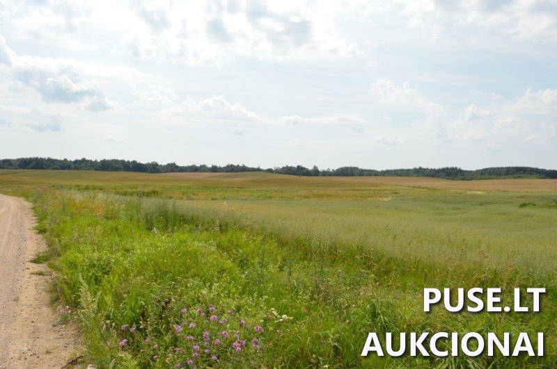 Žemės sklypas Sklypai Gilaičiai, Platelių sen., Plungės r. sav. 6