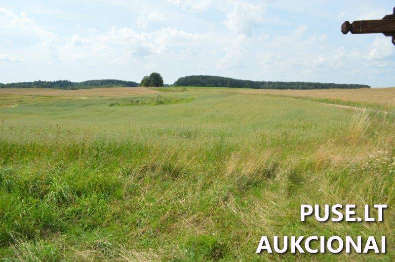 Žemės sklypas Sklypai Gilaičiai, Platelių sen., Plungės r. sav. 7