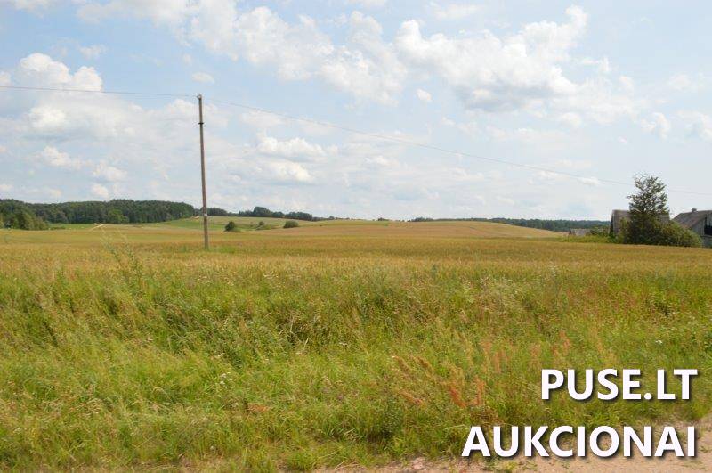 Žemės sklypas Sklypai Gilaičiai, Platelių sen., Plungės r. sav. 8