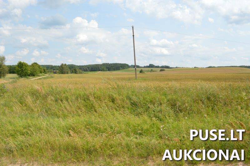 Žemės sklypas Sklypai Gilaičiai, Platelių sen., Plungės r. sav. 9