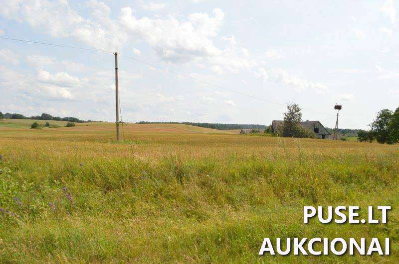 Žemės sklypas Sklypai Gilaičiai, Platelių sen., Plungės r. sav. 10