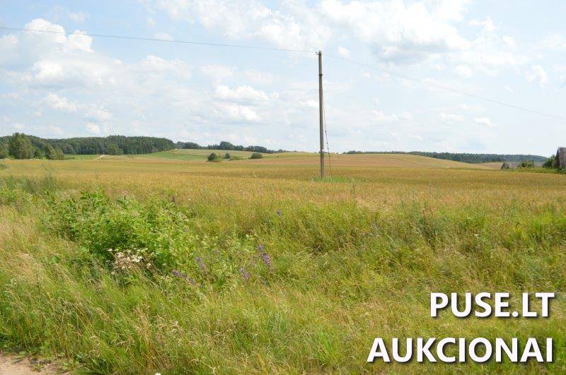 Žemės sklypas Sklypai Gilaičiai, Platelių sen., Plungės r. sav. 11