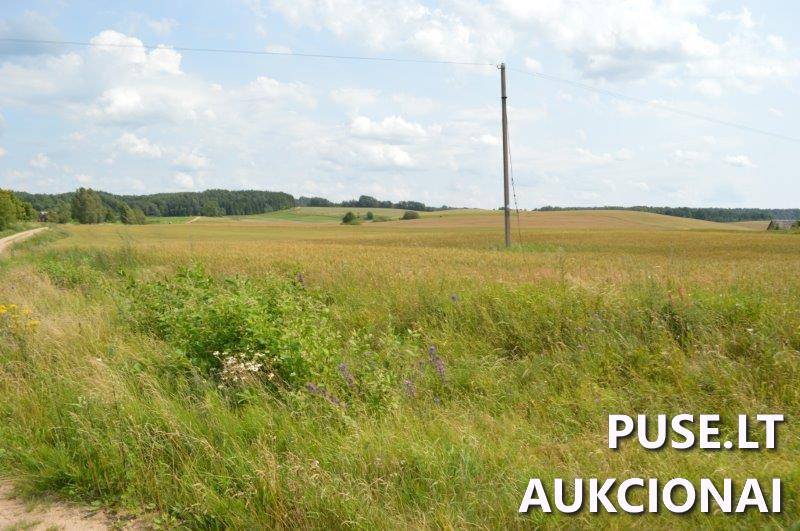 Žemės sklypas Sklypai Gilaičiai, Platelių sen., Plungės r. sav. 12