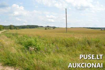 Žemės sklypas Plungės rajone, Gilaičių kaime, aukcione nuo 8000 EUR